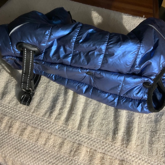 Dog Pet Puffy - Picture 3 of 9